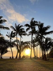 小島市的住宿－Villa Creole alamanda 2，日落时分在海滩上种植的棕榈树