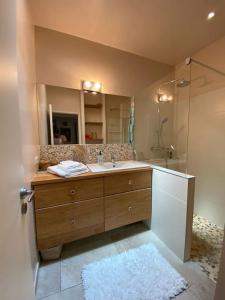 uma casa de banho com um lavatório e um chuveiro com um espelho. em Maison de ville entre amis ou en famille em Castelnau-le-Lez