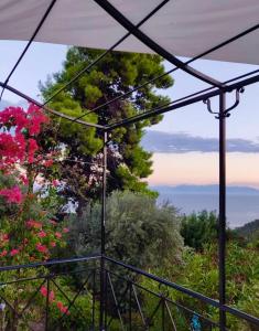 史塔菲洛斯的住宿－Villa Myrto - Beautiful see-view villa，从鲜花房子的阳台上欣赏美景