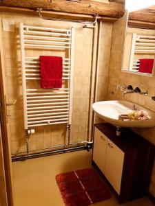 a bathroom with a sink and a shower with red towels at Chesa Margadant in Zuoz