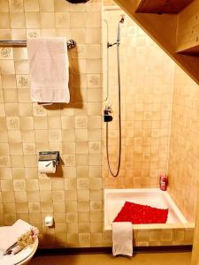 een badkamer met een douche en een bad bij Chesa Margadant in Zuoz
