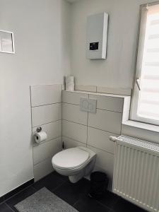 Elle comprend une petite salle de bains pourvue de toilettes et d'une fenêtre. dans l'établissement Zentrale beautiful Apartment in Koblenz, à Coblence