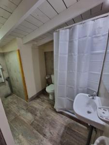 y baño con aseo, lavabo y ducha. en Lomas Schuss ARG41 en San Carlos de Bariloche