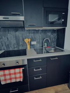 eine Küche mit einer Spüle und einer Mikrowelle in der Unterkunft Zentrale beautiful Apartment in Koblenz in Koblenz
