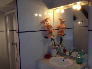 Phòng tắm tại Maison de vacances Le Petit Nid d'Amour Poggio meublé Tourisme 3 étoiles