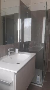 a bathroom with a sink and a glass shower at Locazione turistica Corner 20 zona Clinica Piacenza in Piacenza +15 photos