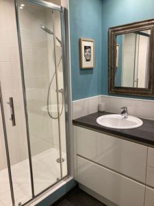 La salle de bains est pourvue d'une douche, d'un lavabo et d'un miroir. dans l'établissement Agréable et Spacieuse maison centre ville Saint-Omer, à Saint-Omer