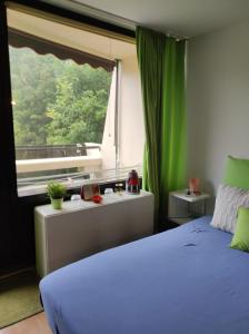 een slaapkamer met een bed en een groot raam bij Ferienapartment Maria in Sankt Englmar in Sankt Englmar