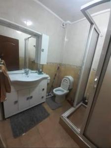 La salle de bains est pourvue d'une douche, d'un lavabo et de toilettes. dans l'établissement Résidence diamant vert 7 sidi Bouzid, à Sidi Bouzid