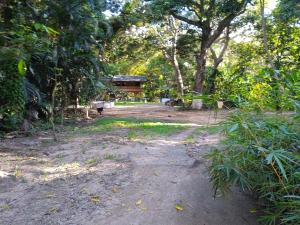 a dirt road in the middle of a forest at casa en el parque tayrona in Santa Marta