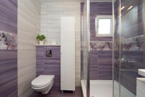 un bagno con wc e doccia di Apartmani Nina & Mili a Igrane Altre 37 foto