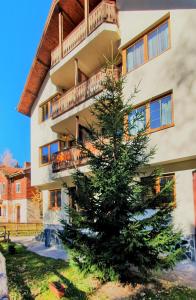 a christmas tree in front of a building at KOKICHE 4 Friends, Borovets in Borovets