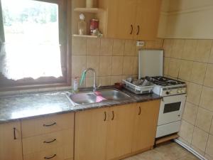 a kitchen with a sink and a stove at Demény vendégház in Sub Cetate