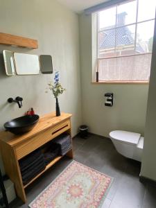 ein Bad mit einem Waschbecken, einem WC und einem Fenster in der Unterkunft Himelsk in Koudum