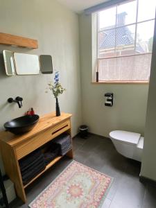 a bathroom with a sink and a toilet and a window at Himelsk in Koudum