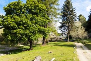 pole trawy z drzewami i dom w obiekcie Posada del Ñireco w mieście Bariloche