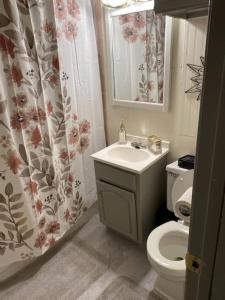 a bathroom with a toilet and a sink and a shower curtain at Oui! Not Your Grandmother's Property in Knoxville