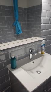 - un lavabo avec une bouteille de savon et un miroir dans l'établissement SW Cosy Apart - Chambly Persan Roissy, à Persan
