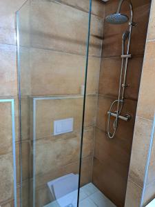 a shower with a glass door in a bathroom at Apartments Stars in Velika Gorica