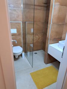 y baño con ducha, aseo y lavamanos. en Apartments Stars, en Velika Gorica