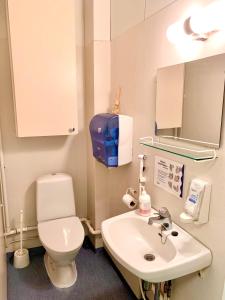 La salle de bains est pourvue de toilettes blanches et d'un lavabo. dans l'établissement Villa Win, à Lappeenranta