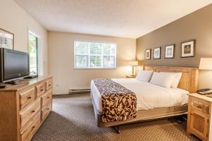 um quarto com uma cama e uma televisão de ecrã plano em Snowbird by Elevate Vacations em Whistler