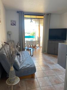 ル・バルカレスにあるAppartement en bord d'étangのベッドとテレビのあるリビングルーム