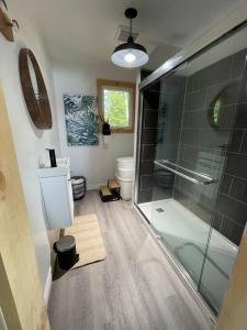 a bathroom with a shower and a toilet at Leland’s Lakehouse in Wolfville