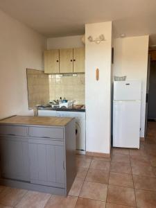 ル・バルカレスにあるAppartement en bord d'étangの白い冷蔵庫とシンクのあるキッチン +9枚の写真