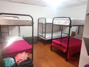 two bunk beds in a dorm room with a suitcase at Hostal Cafe San Bernabe in Bogotá