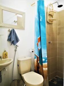 a bathroom with a toilet and a sink and a shower at Apartment cerca centro histórico Sta Fe Antioquia in Santa Fe de Antioquia