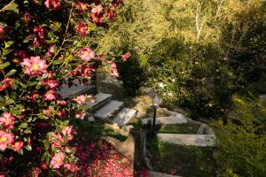 Zahrada ubytování Eco-Resort Parco Botanico Fiorlago
