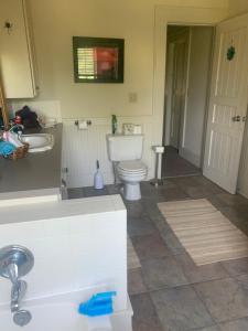 a bathroom with a toilet and a sink at Happy Ass Farm in Fort Scott