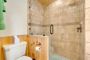 un bagno con wc e doccia di Tranquility House a Banner Elk Altre 28 foto