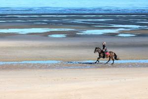 a person riding a horse on the beach at Penthouse VI in Koksijde