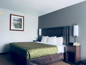 Postel nebo postele na pokoji v ubytování Quality Inn Durango
