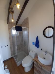 a bathroom with a toilet and a shower and a sink at Cabañas Altos de Leñadura in Punta Arenas