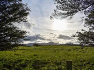 a field with a fence and trees in a field at Uk39799 - Old Corner Barn in Troutbeck