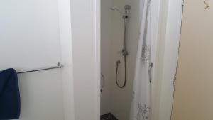 ein Bad mit Dusche und Duschvorhang in der Unterkunft Quiet cul de sac, close to Abel Tasman in Motueka