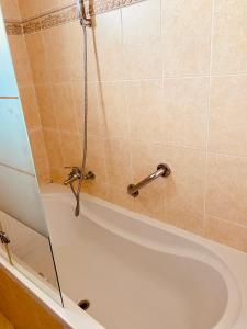 a shower in a bathroom with a tub at Chambre dans villa avec jacuzzi Geneve in Vésenaz