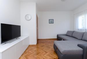 Televízia a/alebo spoločenská miestnosť v ubytovaní Apartments Slavica