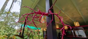 Fotografie z fotogalerie ubytování Chirripo Art Hotel v destinaci Chimirol