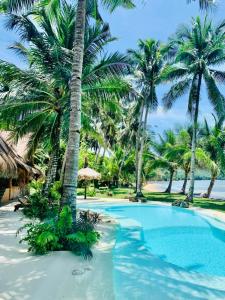 a swimming pool on the beach with palm trees at The Beach House Ocam Ocam in Busuanga