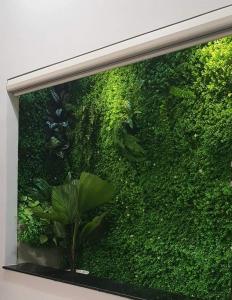 Galeriebild der Unterkunft Triple-T Homestay in Vũng Tàu