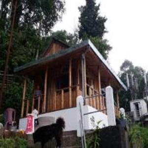 una casa con una llama parada frente a ella en Little Hut Zelepla Eco Village Retreat by StayApart, en Kalimpong