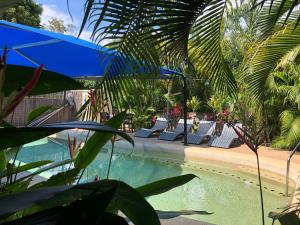 a swimming pool with lounge chairs and palm trees at Tropical Palms Resort & 4WD Hire in Picnic Bay