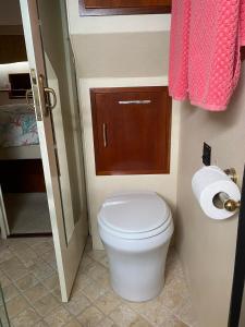 a small bathroom with a toilet and a roll of toilet paper at St Francis Resort in Georgetown