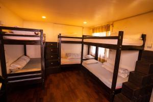 Rúm í herbergi á Gypsy Hostel & Backpackers