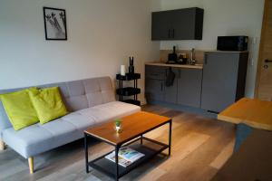 Η κουζίνα ή μικρή κουζίνα στο Seeblick Homes