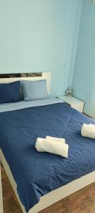 2 asciugamani sono seduti su un letto blu di Стаи за гости РИЛА a Rila